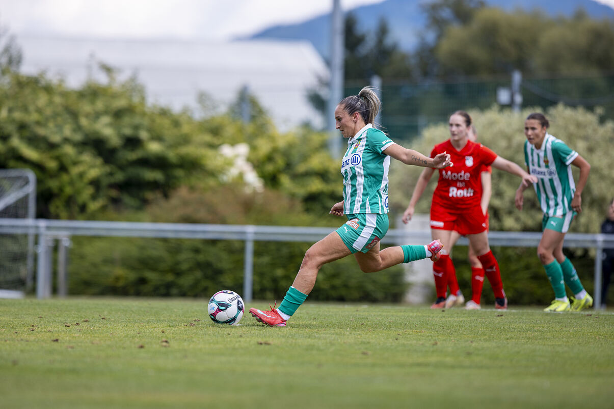 Vorschau SK Rapid - SVK Wildcats